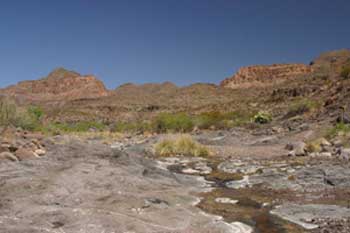 Is Free Enterprise the Key to Future Success? Image